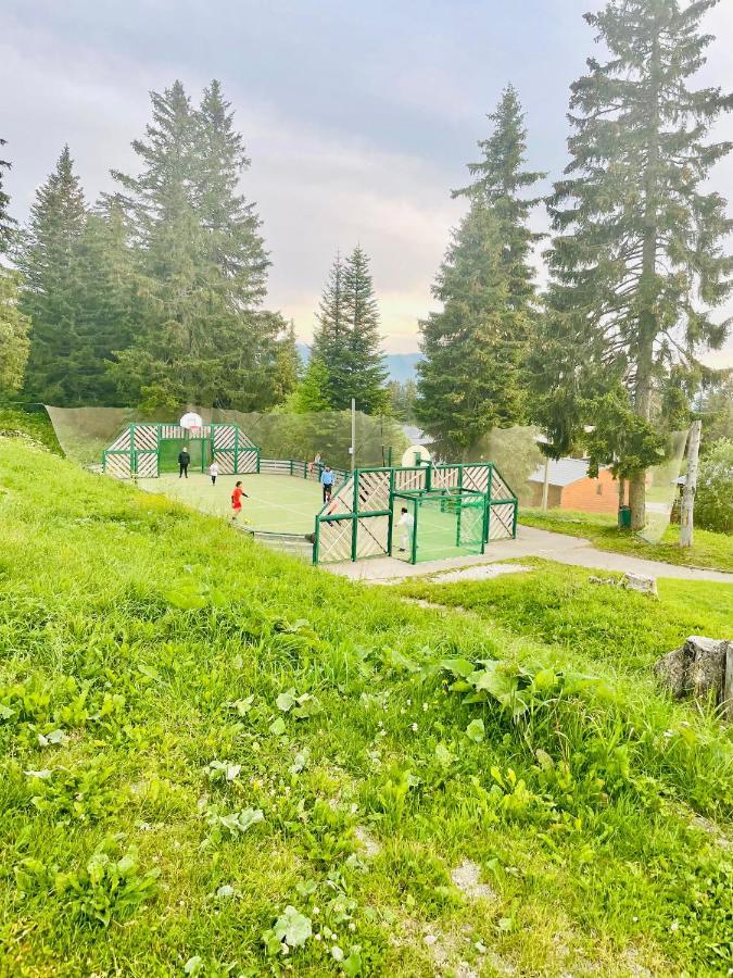 Charmant Appartement Confortable Pour 6 Personnes 40M2 Pied Pistes, Piscine, Wifi, Parking Шамрус Екстериор снимка